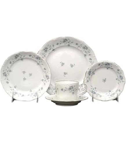 Amazon.com | Bavaria Johann Haviland Blue Garland 20 Piece Set